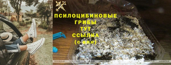 стаф Балахна