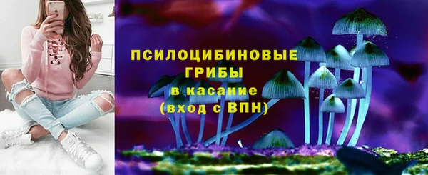 стаф Балахна