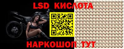 круглые Будённовск