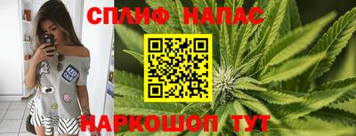 СК Балахна