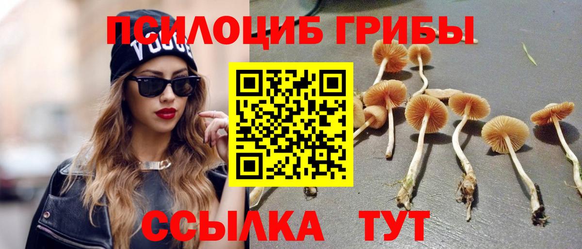 Псилоцибиновые грибы прущие грибы Гатчина