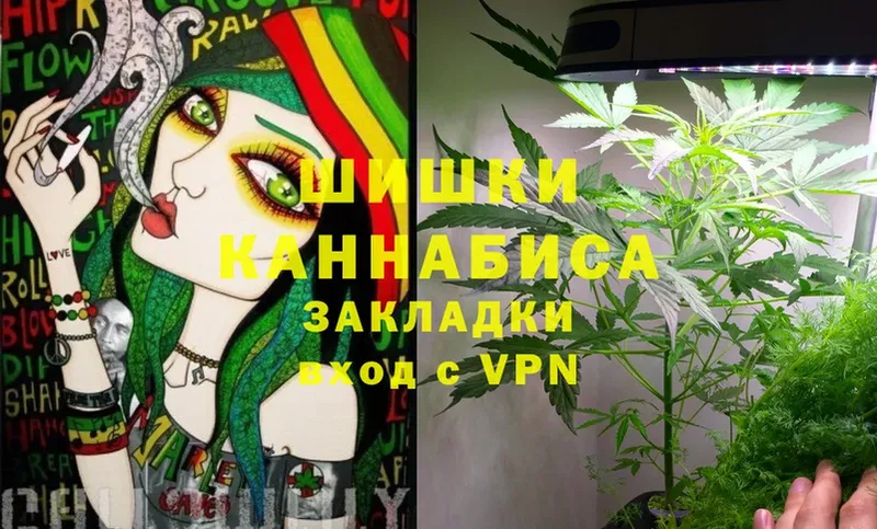 Канабис White Widow  закладки  Гатчина 